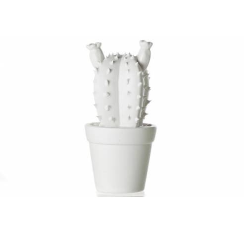 Cactus Blanc Ceramique 9x9x17cm   Cosy @ Home