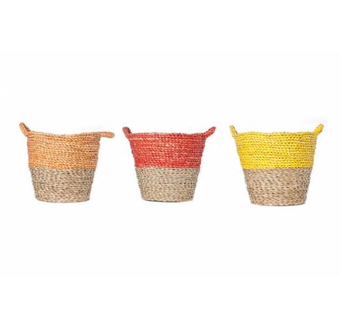 COLOR BAND MAND 3ASS ROND RIET D30XH25CM  Cosy @ Home