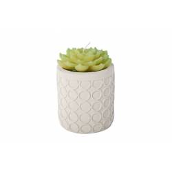 Cosy @ Home KAARS PLANT IN CEMENT POT WIT D10XH14CM 