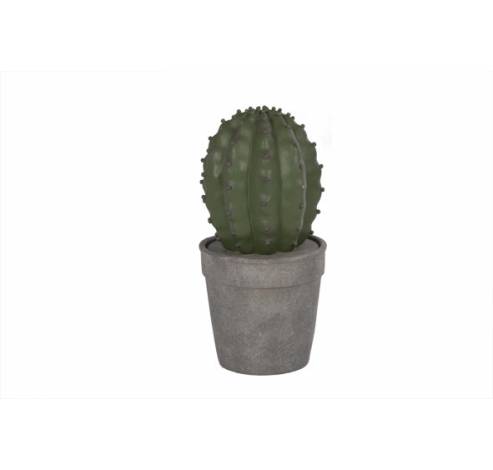 Cactus Groen In Grijze Pot D12xh24cm Resine  Cosy @ Home