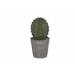 Cactus Groen In Grijze Pot D12xh24cm Resine 