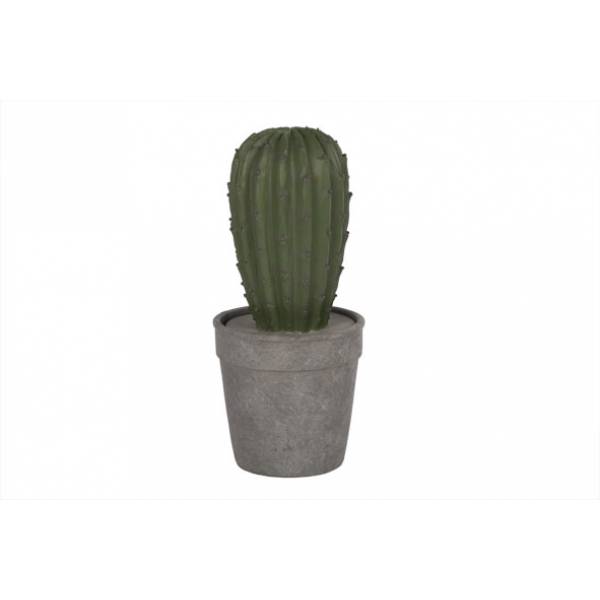 Cosy @ Home Cactus Groen In Grijze Pot D12xh26cm Resine