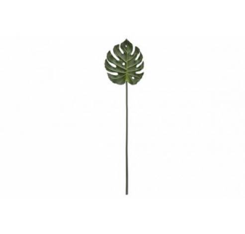 BLAD MONSTREA GROEN 76CM KUNSTSTOF  Cosy @ Home