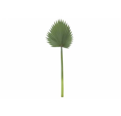 BLAD PALM GROEN 95CM KUNSTSTOF  Cosy @ Home