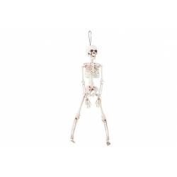 Skelet Hangend Creme 8,5x5xh40cm Plastie K 