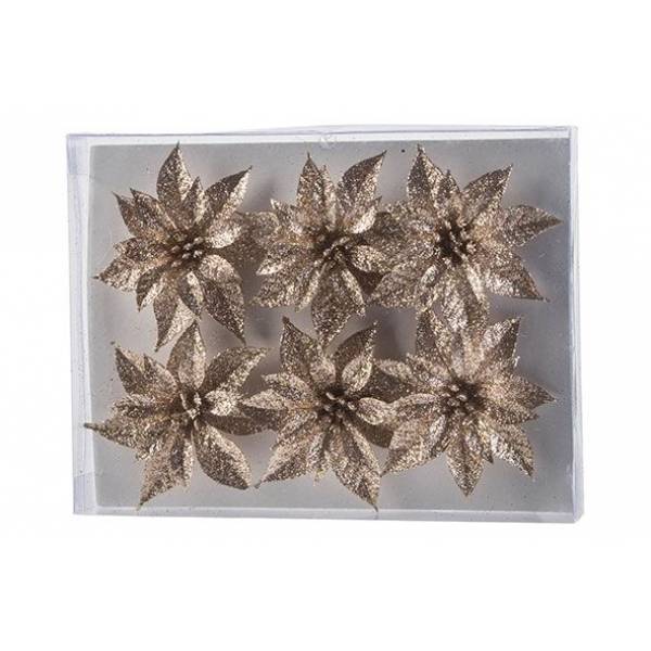 Kerstroos Set6 Glitter Champagne D8 Cm Kunststof 