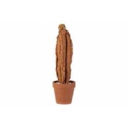 Cactus In Tc Pot Paprika 11xh37cm Textie L 