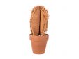 Cactus In Tc Pot Paprika 6,5xh17cm Texti El