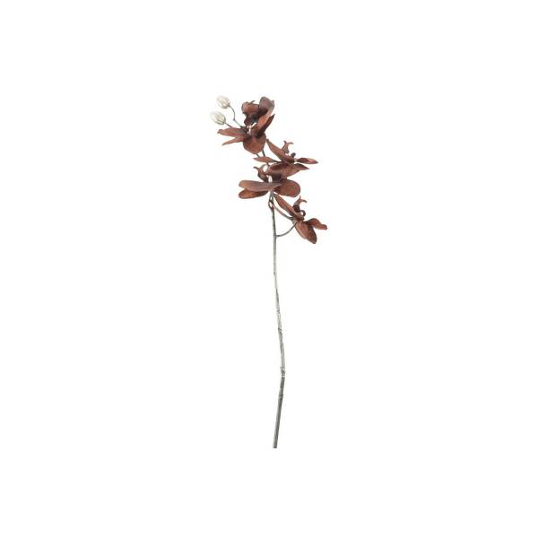 Cosy @ Home Tak Phalaenopsis Bruin 12x7xh66cm Kunsts Tof