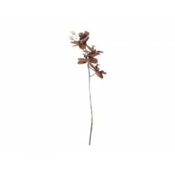 Cosy @ Home Branche Phalaenopsis Brun 12x7xh66cm Pla Stic 