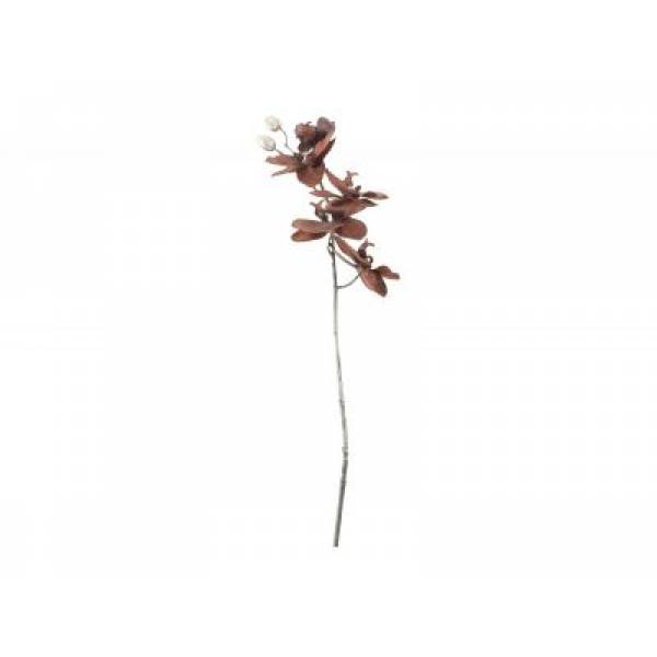 Tak Phalaenopsis Bruin 12x7xh66cm Kunsts Tof 