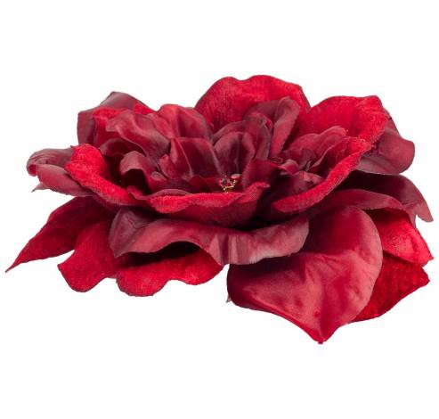 Clip Rose Jewel Rouge Fonce 15x15xh4cm P Lastic  Cosy @ Home