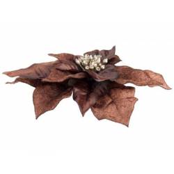 Clip Poinsettia Bruin 18x18xh4cm Kunstst Of 