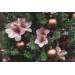 Clip Magnolia Oud Roze 15x15xh6cm Kunsts Tof 