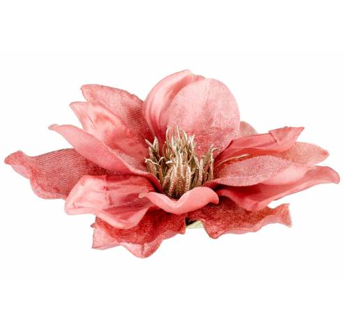 Clip Magnolia Vieux Rose 15x15xh6cm Plas Tic  Cosy @ Home