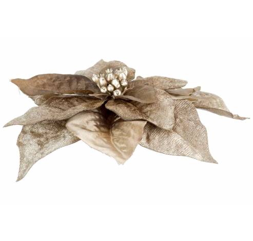 Clip Poinsettia Taupe 18x18xh4cm Kunstst Of  Cosy @ Home