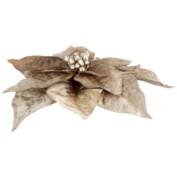 Cosy @ Home Clip Poinsettia Taupe 18x18xh4cm Kunstst Of