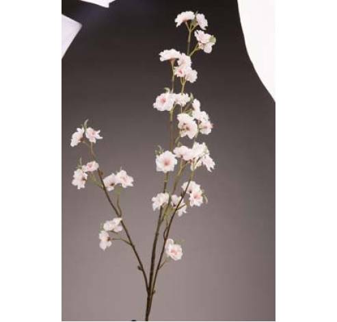 Branche Blossom Rose Pale 30x15xh111cm P Lastic  Cosy @ Home