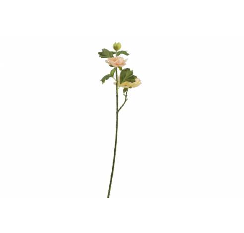 Branche Ranunculus Saumon 13x13xh43cm Pl Astic  Cosy @ Home