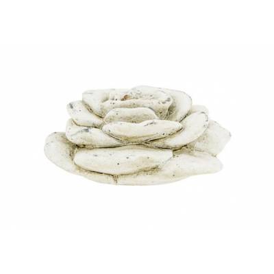 Roos Creme 9x9xh5cm Rond Cement   Cosy @ Home