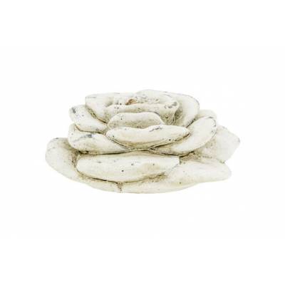 Roos Creme 13x13xh6,5cm Rond Cement   Cosy @ Home