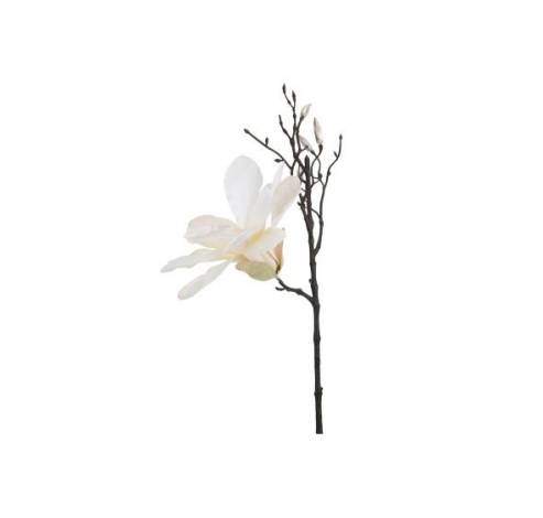 Branche Magnolia Creme 9x9xh49cm Plastic   Cosy @ Home
