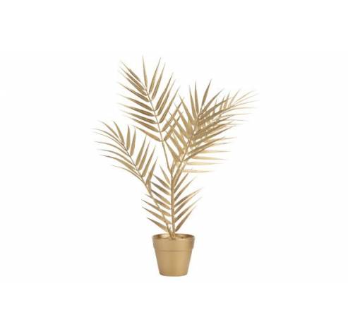 SIERPLANT IN POT BAMBOO LEAF GOUD 11X11X  Cosy @ Home