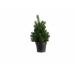 Kerstboom Mini Groen 20x20xh45cm Kunstst Of 