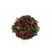 Hanger Bal Red Fruit Mix Groen D11cm Kun Ststof 