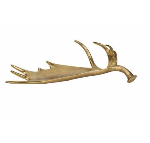 COUPE ANTLER DORE 57X31XH16,4CM RESINE  Cosy @ Home