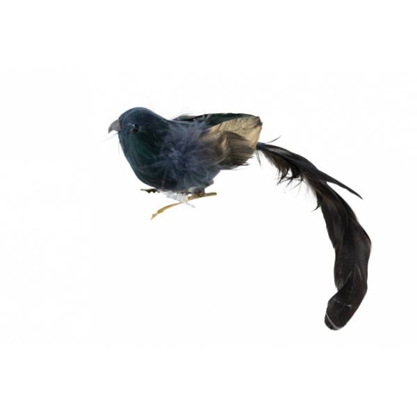 Vogel Long Tail Feathers Groen 25x4xh4cm  Kunststof 