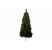 Kerstbomen