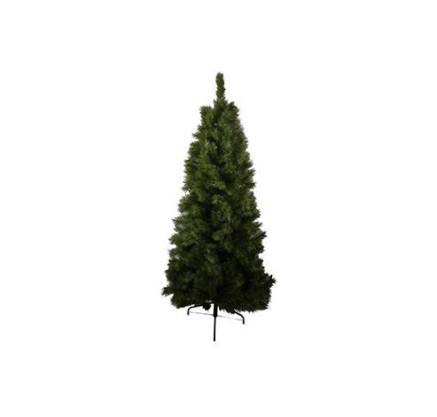 BOOM ALASKAN FIR NEW GROEN H150CM D73CM  Cosy @ Home