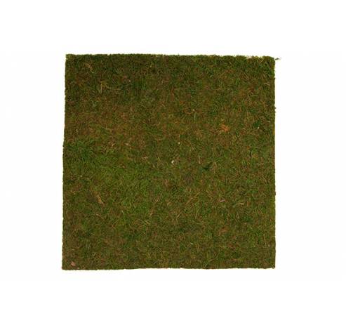Grass Groen 40x40xh,5cm  Cosy @ Home