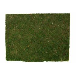 Cosy @ Home Matje Grass Groen 40x30xh,5cm 
