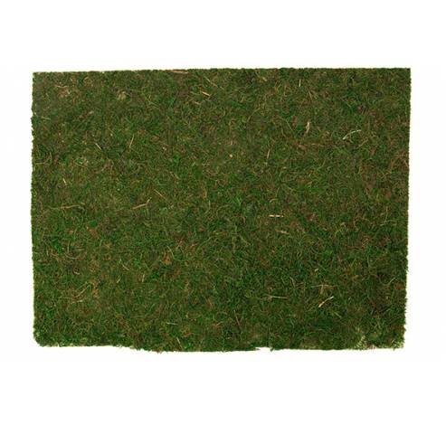 Matje Grass Groen 40x30xh,5cm  Cosy @ Home