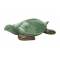 Schildpad Groen 18,6x14,6xh4,8cm Langwer Pig Dolomiet 