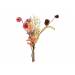 Boeket Dried Flowers Mix Roze 40x13xh50c M Kunststof 