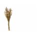 Cosy @ Home Boeket Dried Flowers Creme 27x13xh60cm 