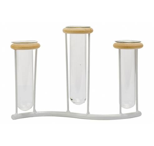 Houder 3x Glass Tube 3,5x10-12cm Wit 19x 4,5xh13,5cm Langwerpig Metaal  Cosy @ Home