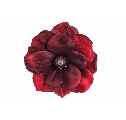 Clip Anemone Rood 11x11xh5cm Kunststof   Cosy @ Home