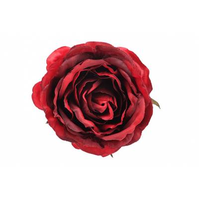 Clip Rose Rood 9x9xh5cm Kunststof  Cosy @ Home