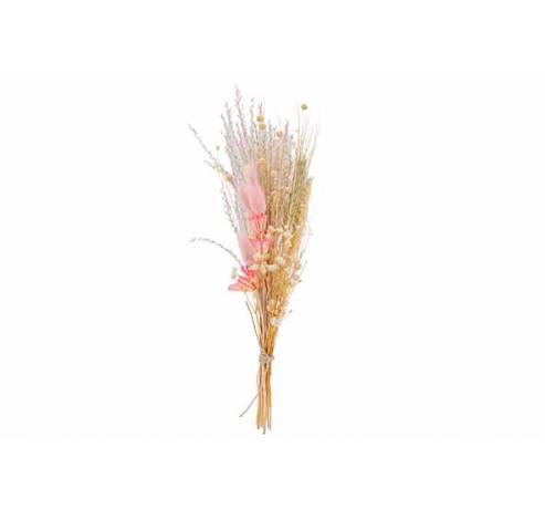 Boeket Dried Flowers Lichtroze H30cm   Cosy @ Home