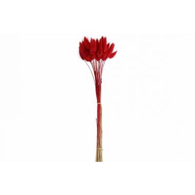Boeket Cat Tails Rood 10x10xh60cm Kraft Paper Bag  Cosy @ Home
