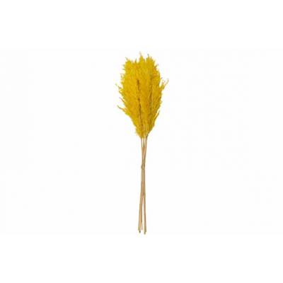 Boeket Pampa Geel 18xh65cm Kraft Paper Bag  Cosy @ Home