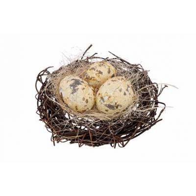Nest 3 Eggs Natuur D10cm  