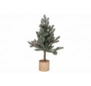 Kerstbomen