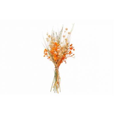 Boeket Dried Flowers Oranje H20cm  