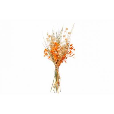 Boeket Dried Flowers Oranje H20cm  