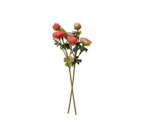 Bouquet Ranunculus 2ass Rose 14x14xh50cm  Plastic  Cosy @ Home